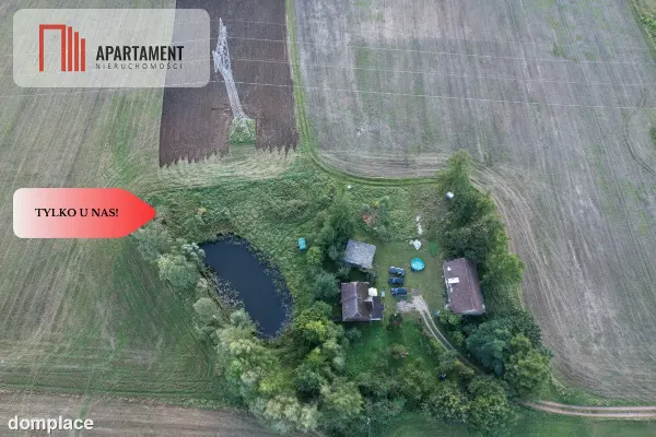 Siedlisko 11,75 ha z prywatnym lasem — zdjęcie 4
