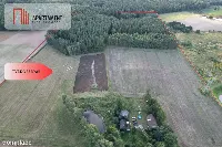 Siedlisko 11,75 ha z prywatnym lasem — zdjęcie 2