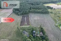 Siedlisko 11,75 ha z prywatnym lasem — zdjęcie 3