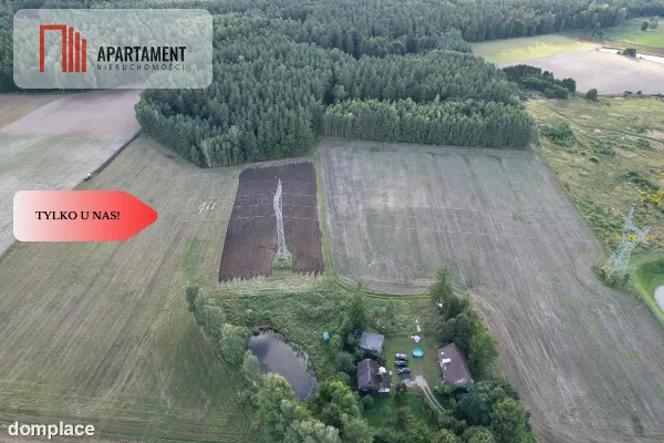 Siedlisko 11,75 ha z prywatnym lasem — zdjęcie 3