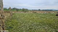 Działka widokowa w Jordanowie Śląskim 900m — zdjęcie 8