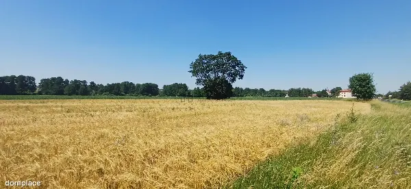 Działka — łódzki wschodni, Rzgów — zdjęcie 4