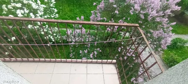 Mieszkanie — Łódź, Łódź-Polesie — zdjęcie 3