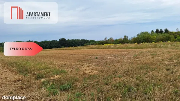 Duża działka 3691 m2 Legnica — zdjęcie 4