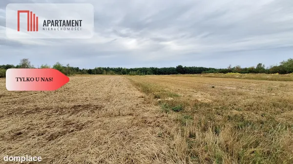 Duża działka 3691 m2 Legnica — zdjęcie 5