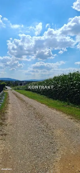 Działka — Osiek — zdjęcie 3