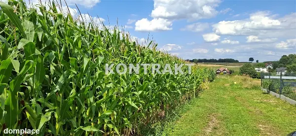 Działka — Osiek — zdjęcie 4