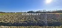 Działka — Oświęcim, Babice — zdjęcie 4
