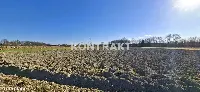 Działka — Oświęcim, Babice — zdjęcie 5