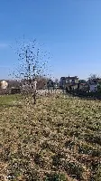 Działka — Oświęcim, Osiedle — zdjęcie 3