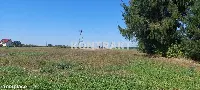 Działka — Międzyrzecze — zdjęcie 4