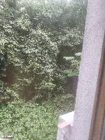 Mieszkanie z ogródkiem na parterze — zdjęcie 13