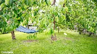 Dom — piski, Biała Piska — zdjęcie 14