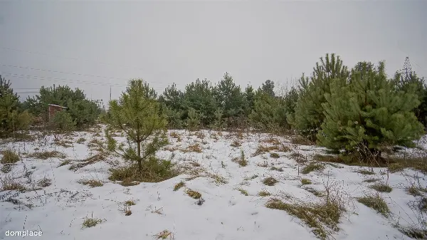 Działka — ełcki, Ełk — zdjęcie 4