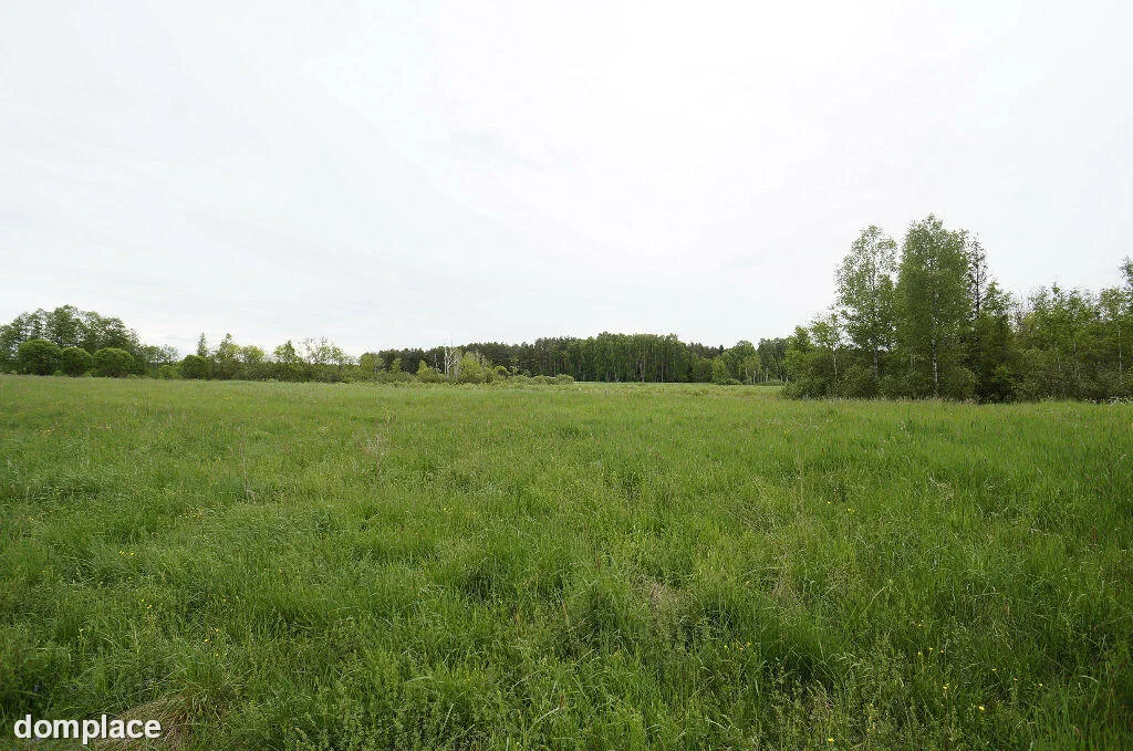 Działka — ełcki, Ełk