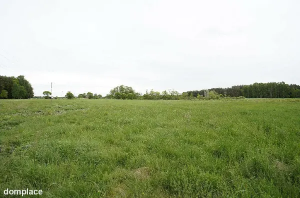Działka — ełcki, Ełk — zdjęcie 3