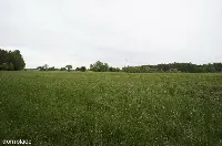 Działka — ełcki, Ełk — zdjęcie 5