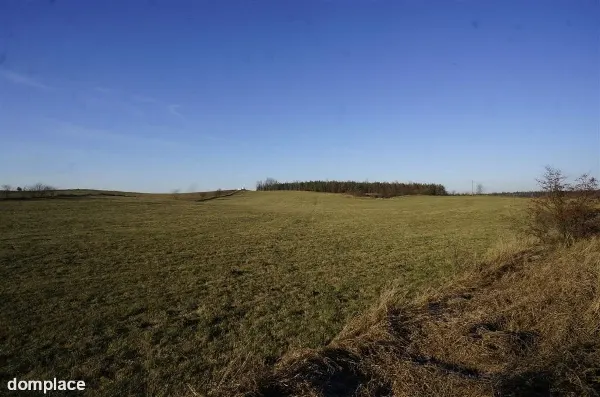 Działka — piski, Biała Piska — zdjęcie 4