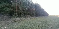 Działka — piski, Biała Piska — zdjęcie 5