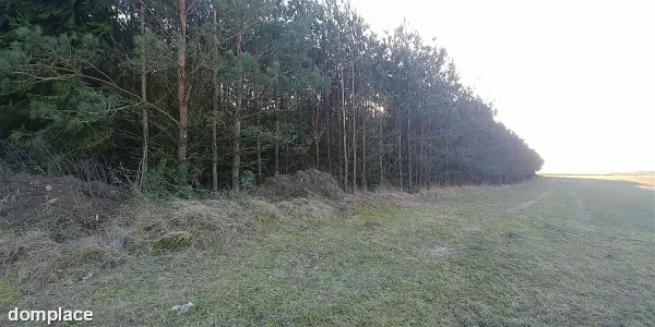 Działka — piski, Biała Piska — zdjęcie 5
