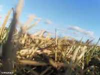 Działka — piski, Biała Piska — zdjęcie 1