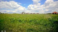Działka — ełcki, Ełk — zdjęcie 7
