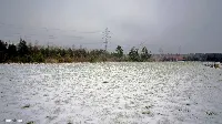 Działka — ełcki, Ełk — zdjęcie 5