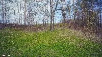 Działka — gołdapski, Gołdap — zdjęcie 10