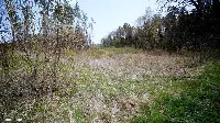 Działka — gołdapski, Gołdap — zdjęcie 11
