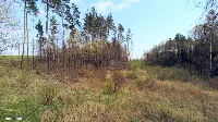 Działka — gołdapski, Gołdap — zdjęcie 7