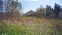 Działka — gołdapski, Gołdap — zdjęcie 8