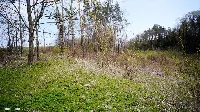 Działka — gołdapski, Gołdap — zdjęcie 9