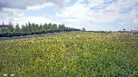 Działka — ełcki, Ełk — zdjęcie 7