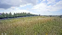 Działka — ełcki, Ełk — zdjęcie 8