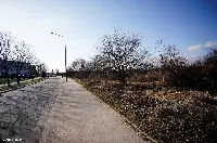 Działka — węgorzewski, Węgorzewo — zdjęcie 7