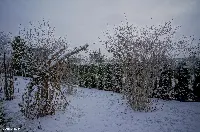 Działka — ełcki, Ełk — zdjęcie 5