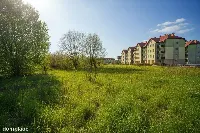 Działka — węgorzewski, Węgorzewo — zdjęcie 6
