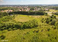 Działka — węgorzewski, Węgorzewo — zdjęcie 5
