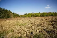 Działka — węgorzewski, Węgorzewo — zdjęcie 7