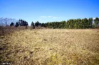 Działka — węgorzewski, Węgorzewo — zdjęcie 8