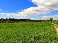 Działka — gołdapski, Gołdap — zdjęcie 4