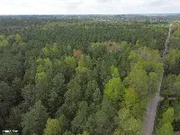 Działka — białostocki, Choroszcz — zdjęcie 1