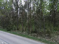 Działka — białostocki, Choroszcz — zdjęcie 4