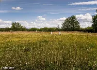 Działka — ełcki, Ełk — zdjęcie 6