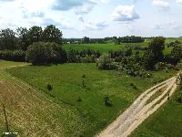 Działka — ełcki, Ełk — zdjęcie 6