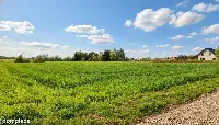 Działka — ełcki, Ełk — zdjęcie 4