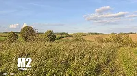 Działka — ełcki, Ełk — zdjęcie 3