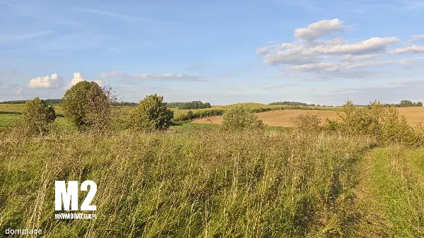 Działka — ełcki, Ełk — zdjęcie 3