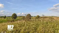 Działka — ełcki, Ełk — zdjęcie 4