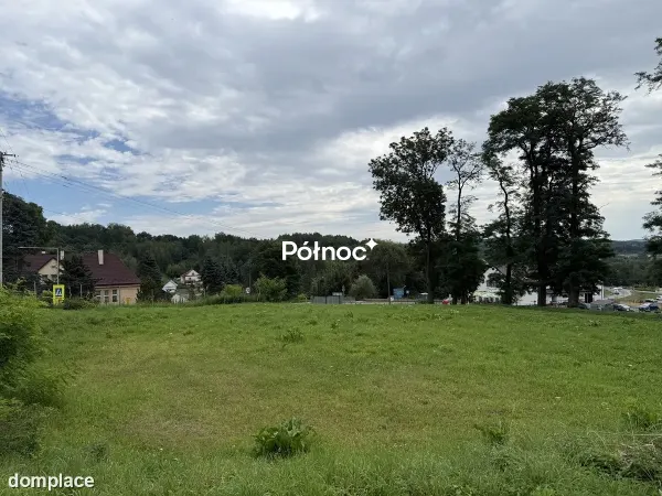 58 arów przy DW 977 | Działka inwestycyjna | Tuchów — zdjęcie 3